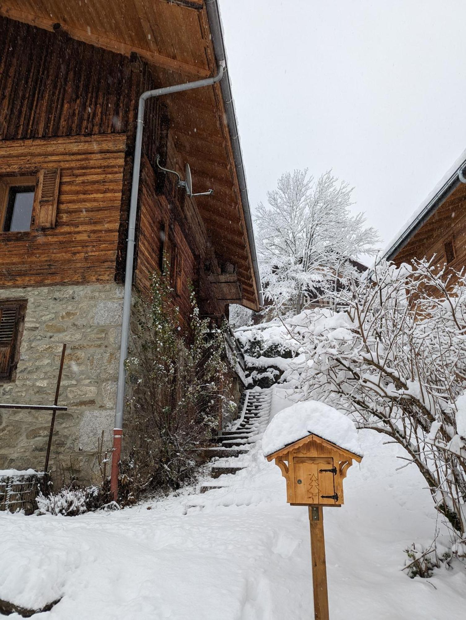 Bas De Chalet Au Coeur Des Aravis, Entre Lac Et Montagne Saint-Jean-de-Sixt Extérieur photo
